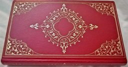 Creatures Great and Small