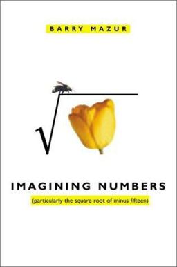 Imagining Numbers Particularly the Square Root of Minus Fifteen  9780374174699 Front Cover