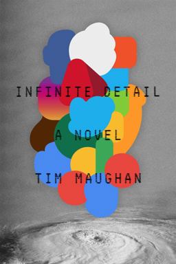 Infinite Detail  9780374175412 Front Cover