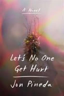 Let's No One Get Hurt A Novel  9780374185244 Front Cover