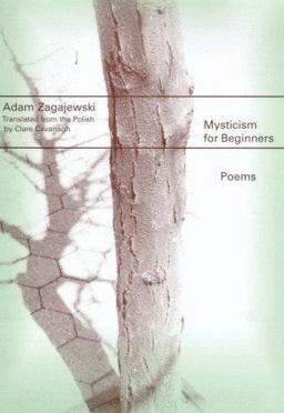 Mysticism for Beginners