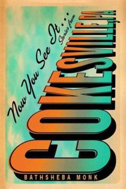 Now You See It... Stories from Cokesville, PA  9780374223304 Front Cover