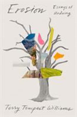 Erosion Essays of Undoing  9780374280062 Front Cover