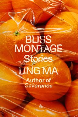 Bliss Montage Stories  9780374293512 Front Cover