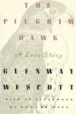 The Pilgrim Hawk