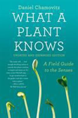 What a Plant Knows A Field Guide to the Senses: Updated and Expanded Edition  9780374537128 Front Cover