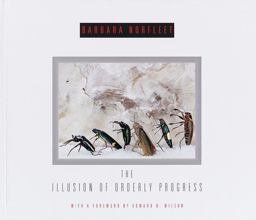 The Illusion of Orderly Progress