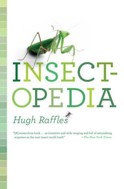 Insectopedia  9780375423864 Front Cover