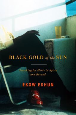Black Gold of the Sun Searching for Home in Africa and Beyond  9780375424182 Front Cover