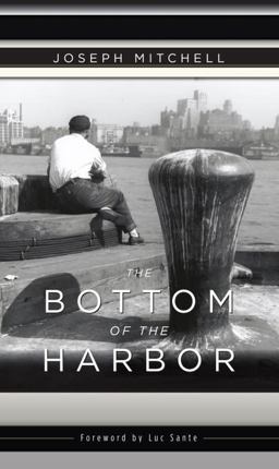 Bottom of the Harbor  9780375714863 Front Cover