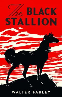 Black Stallion
