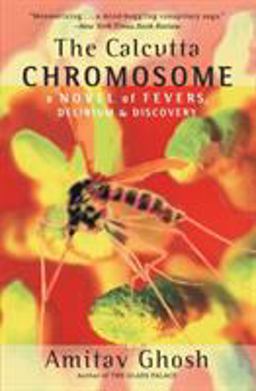 Calcutta Chromosome A Novel of Fevers, Delirium and Discovery  9780380813940 Front Cover