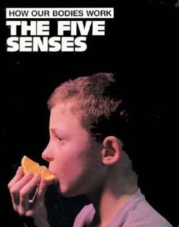 The Five Senses