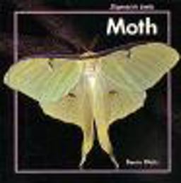 Moth
