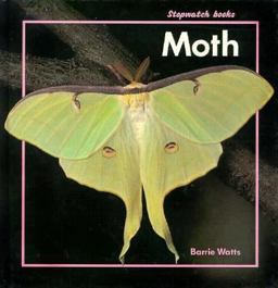 Moth