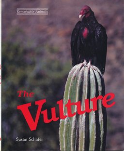 Vulture