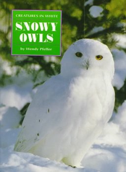Snowy Owls