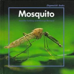 Mosquito