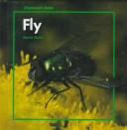 Fly