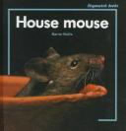 House Mouse