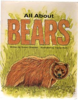 All about Bears