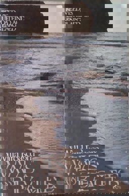 Waves and Beaches  9780385148443 Front Cover