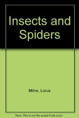 Insects and Spiders