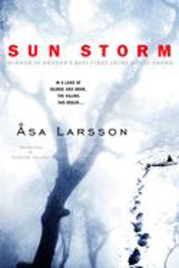 Sun Storm  9780385340786 Front Cover