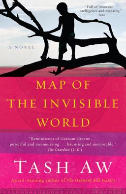 Map of the Invisible World A Novel 1st 2010 9780385527972 Front Cover