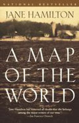Map of the World A Novel  9780385720106 Front Cover