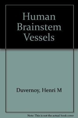 Human Brainstem Vessels 1977 9780387083360 Front Cover