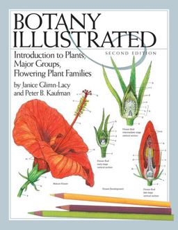 Botany Illustrated Introduction to Plants, Major Groups, Flowering Plant Families 2nd 9780387288703 Front Cover