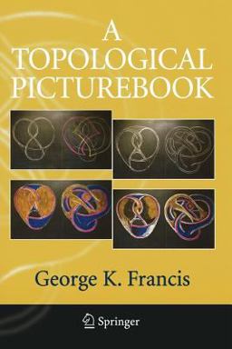 Topological Picturebook  9780387345420 Front Cover