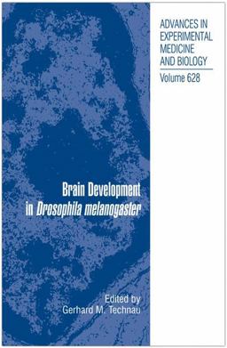 Brain Development in Drosophila Melanogaster  9780387782607 Front Cover