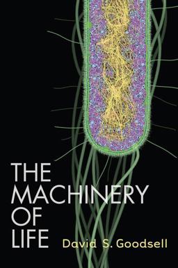 Machinery of Life 2nd 9780387849249 Front Cover