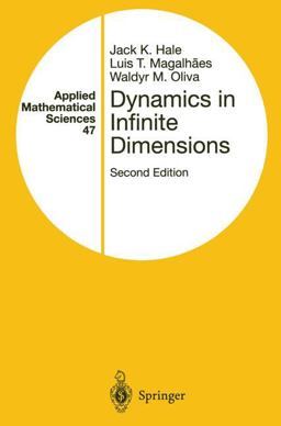 Dynamics in Infinite Dimensions Dynamics in Infinite Dimensions