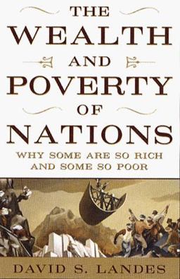 Wealth and Poverty of Nations Why Some Are So Rich and Some So Poor  9780393040173 Front Cover
