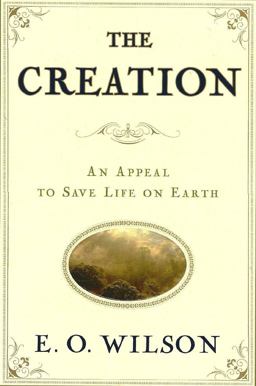 Creation A Meeting of Science and Religion  9780393062175 Front Cover