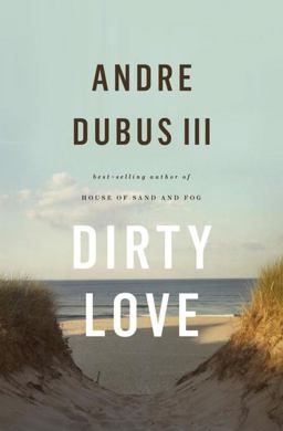 Dirty Love  9780393064650 Front Cover