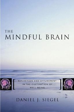 The Mindful Brain