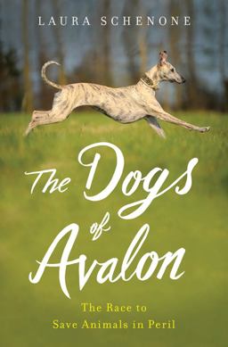 Dogs of Avalon The Race to Save Animals in Peril  9780393073584 Front Cover