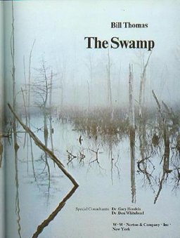 The Swamp The Swamp