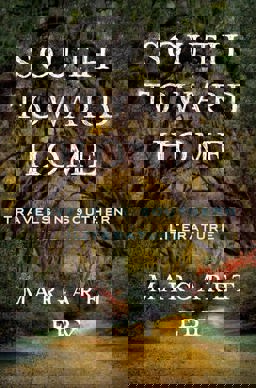 South Toward Home Travels in Southern Literature  9780393241112 Front Cover