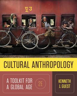 Cultural Anthropology A Toolkit for a Global Age 2nd 9780393265002 Front Cover