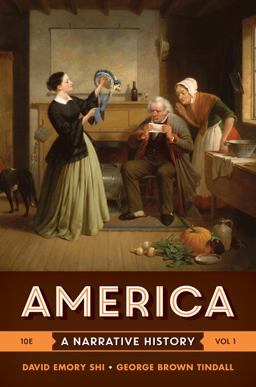 America: A Narrative History  9780393265941 Front Cover