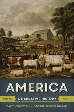 America: A Narrative History  9780393265972 Front Cover