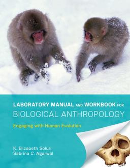 Laboratory Manual and Workbook for Biological Anthropology: Engaging With Human Evolution  9780393277340 Front Cover
