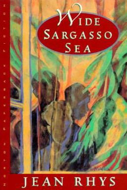 Wide Sargasso Sea  9780393308808 Front Cover
