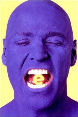 Ecstasy  9780393315813 Front Cover