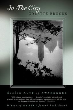 In the City Random Acts of Awareness  9780393324419 Front Cover